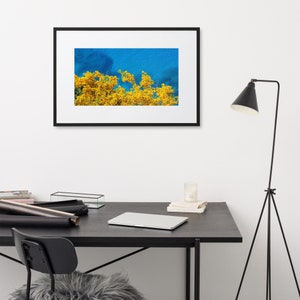Mediterranean Vibrance - Framed w/ Mat
