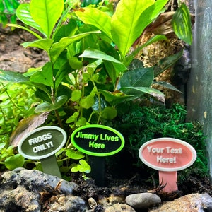 Custom Terrarium & Aquarium Sign | Named Pet Sign Perfect For Geckos, Frogs, Betta Fish