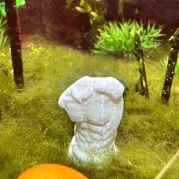 Décor d'aquarium de statue masculine grecque | Décor d'aquarium | Décor d'aquarium nano