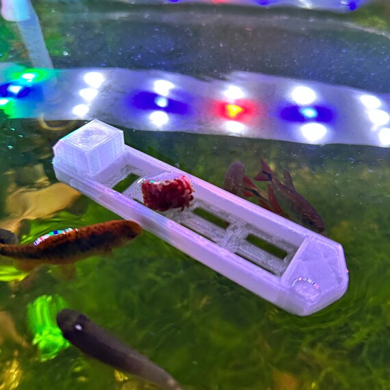 Betta fish feeder 2025