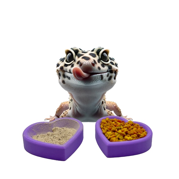 Heart Bowls | Gecko Feeding Dish Calcium Bowl | 2 Pack