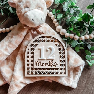 Marqueur d'étape mensuel pour bébé Carte d'étape mensuelle bohème en bois Idées d'étapes interchangeables Carte en bois d'étapes interchangeables en rotin