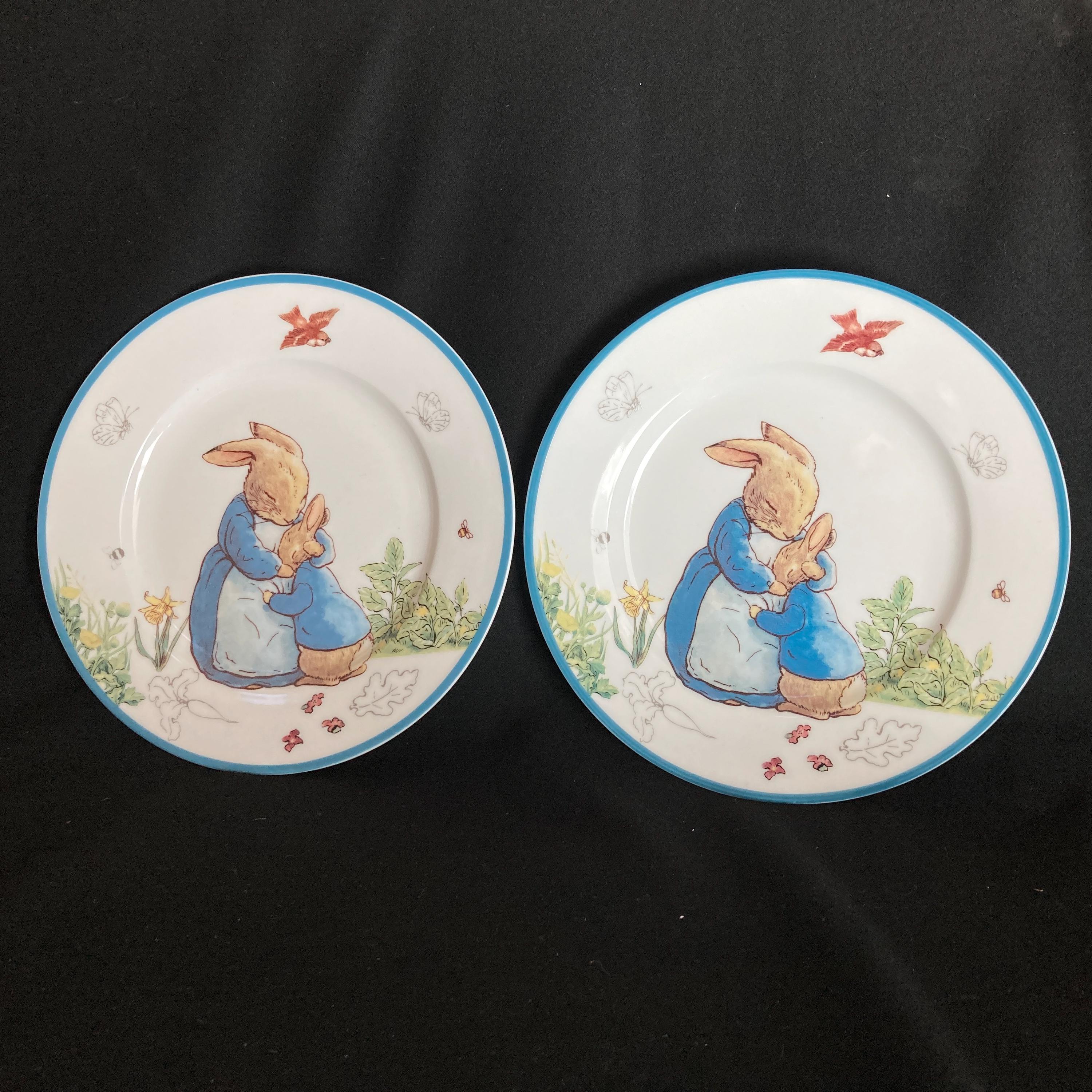 Peter Rabbit Party Plates Peter Rabbit Children's Plate | Beatrix Potter Bunny 8