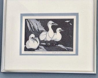 Signed Gannets Etching Coastal Bird Art Pat Dispenziere Framed