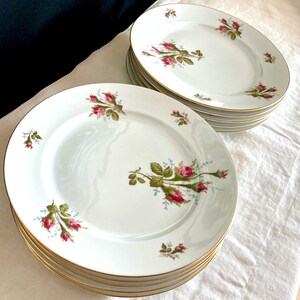 Moss Rose China - Etsy