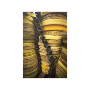 Fire Hose | Print | Wild Land Fire Print | at Salmon River Complex Yreka, CA ,2013.