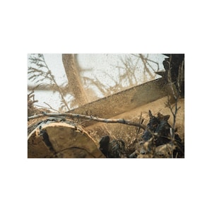 Sawyer cuts Tree on Wild Fire | Print | Wild Land Fire Print