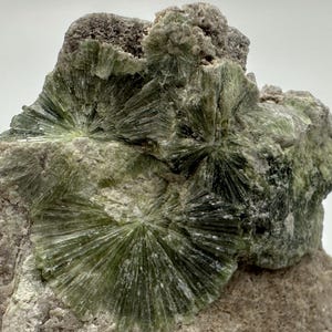 Op de afbeelding: Close-up van een mineraalmonster met stralende, stervormige formaties van groene kristallen. De kristallen zijn geplaatst tegen een achtergrond van ruw, grijsbruin gesteente. De algehele textuur is grof en gedetailleerd, wat de natuurlijke schoonheid van het mineraal benadrukt.