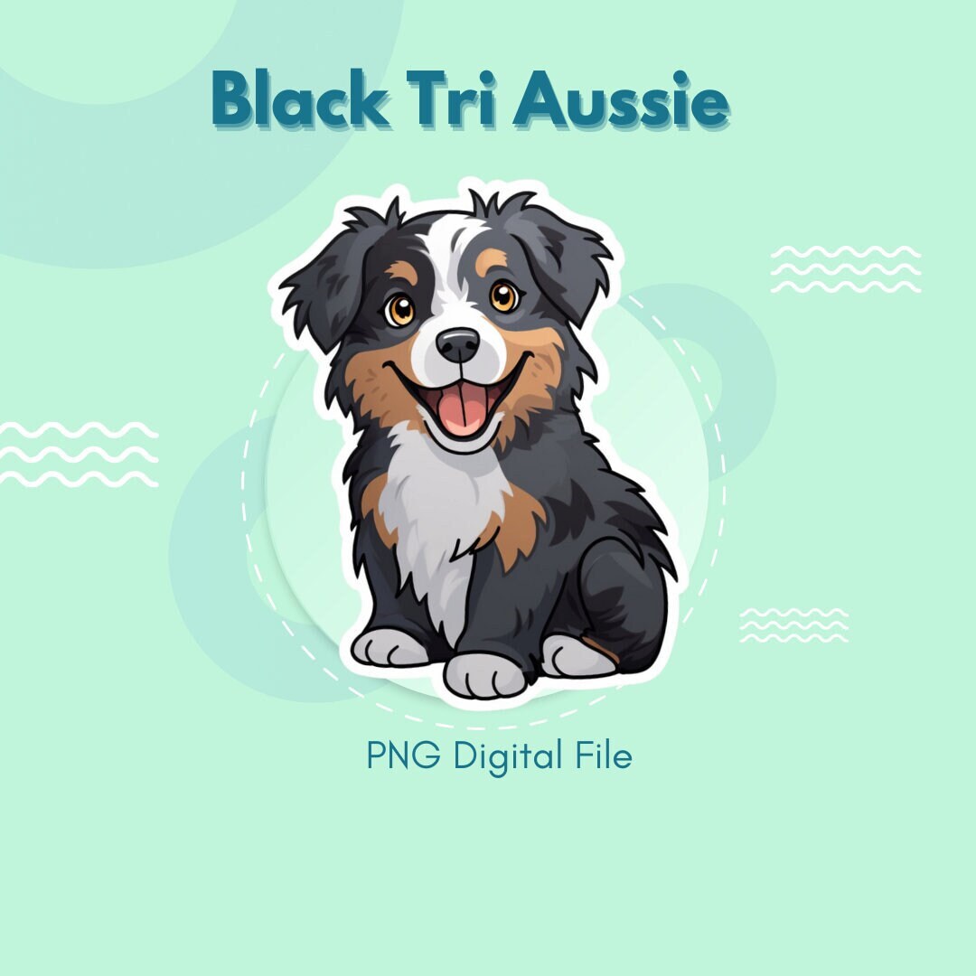 Australian Shepherd Png, Black Tri Aussie Png, Black Tri Australian