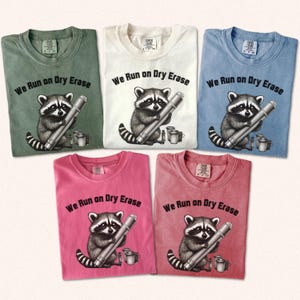 Funny Raccoon Teacher Shirt, Cute Teacher Tee, End of Year Gift, Summer Teacher Shirt, Vintage Teacher Shirt, Silly Goose Shirt