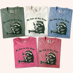 Funny Raccoon Teacher Shirt, Cute Teacher Tee, End of Year Gift, Summer Teacher Shirt, Vintage Teacher Shirt, Silly Goose Shirt