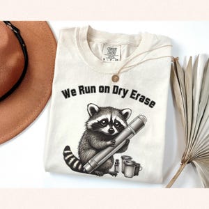 Funny Raccoon Teacher Shirt, Cute Teacher Tee, End of Year Gift, Summer Teacher Shirt, Vintage Teacher Shirt, Silly Goose Shirt