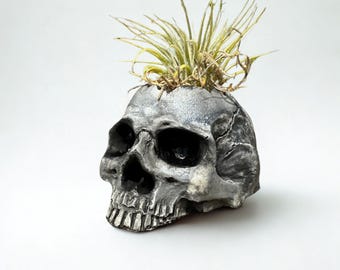 Handmade Mini Skull Planter with Air Plant – Hand-Painted Ceramic Planter with Drain Hole & Protective Clear Coat – Gothic Succulent Pot – U