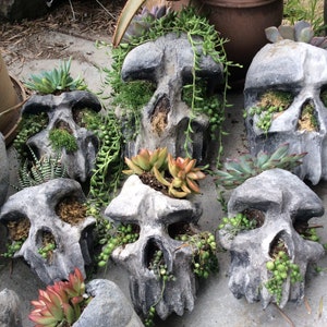 Jardinera con forma de calavera
