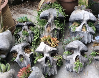 Skull Planter