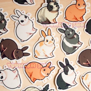 Bunny Vinyl Sticker Set / Pointy Ear Rabbit Stickers / Cute Animal Laptop Stickers / Water Bottle Vinyl Stickers / Gift For Rabbit Lover