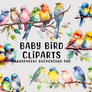 Watercolor Bird set PNG, cute spring bird, watercolor clipart, birds clipart, Watercolor Illustration, Paper Crafting, instant download