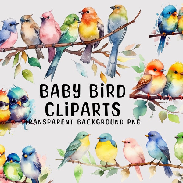 Watercolor Bird set PNG, cute spring bird, watercolor clipart, birds clipart, Watercolor Illustration, Paper Crafting, instant download