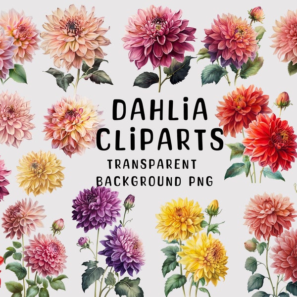 Watercolor Dahlia Clipart, watercolor clipart, flowers clipart, Watercolor Illustration, Dahlia clip art, transparent PNG, instant download