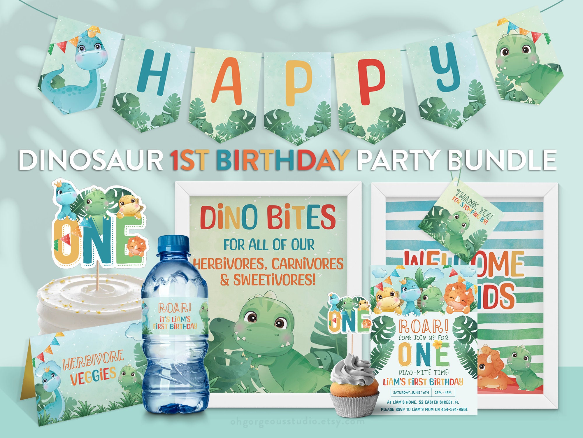 Dinosaur Party in A Box, Dinosaur Party Box, Dino Party Kit, Dinosaur Decor,  Dinosaur Party Supplies, Dinosaur Party Decor, 1st Birthday 