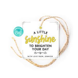 A Little Sunshine To Lighten Your Day Geschenkanhänger, Gelber Sonnenschein Geschenkanhänger, Box Of Sunshine, Geschenkanhänger für Freunde Mitarbeiter Lehrer Personal
