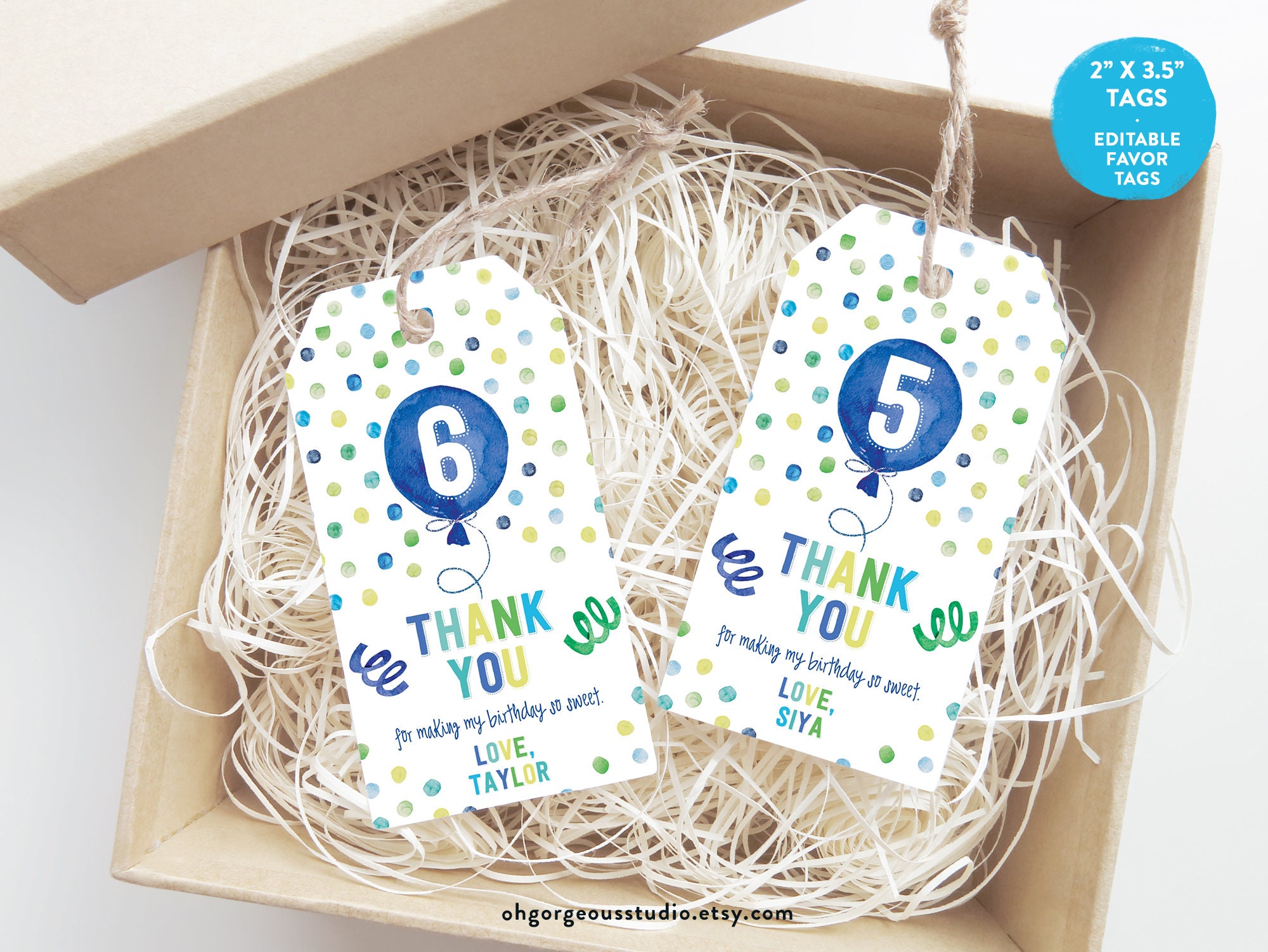 Printable Thank You Tags Instant Download Boy Confetti Favor Tags Rainbow  Confetti Party Favor Tag Editable Boy Party Boy 1st Birthday 0224 
