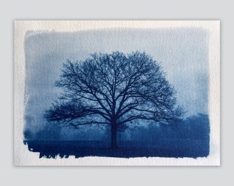 Tree in the mist of Procé, Nantes, Handmade cyanotype print