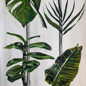 Monstera / Ritratti di piante da appartamento 2022 LandscapesbyLucyArt
