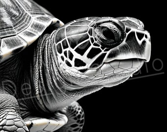 Artistic Turtle PNG / PNG Laser Engraving file for slate / Digital Design / Wildlife / Animal Life / Laser ready / Turtle for engraving