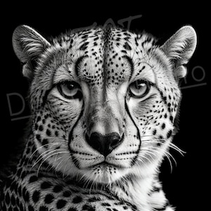Artistic Cheetah PNG / PNG Laser Engraving file for slate / Digital Design / Wildlife / Animal Life / Laser ready / Cheetah for engraving