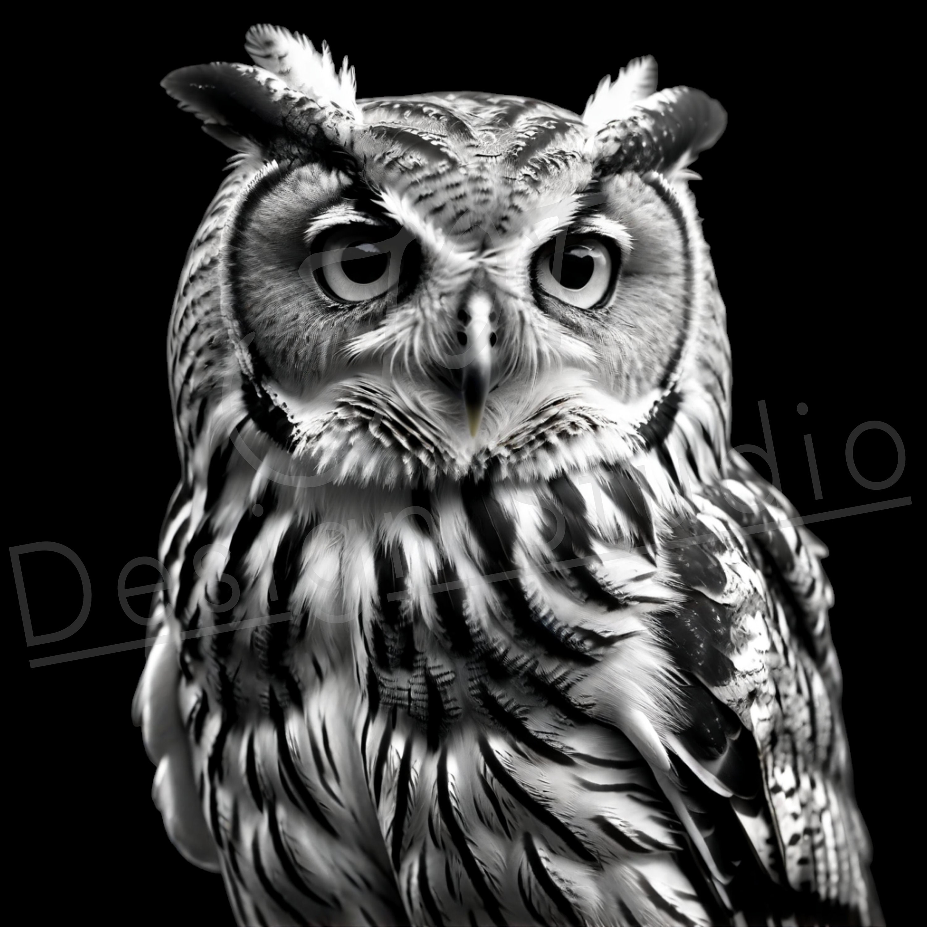 Artistic Owl PNG / PNG Laser Engraving file for slate / Digital Design / Wildlife / Animal Life / La