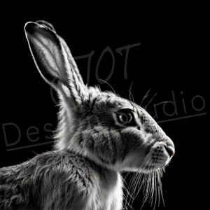 Artistic Hare PNG / PNG Laser Engraving file for slate / Digital Design / Wildlife / Animal Life / Laser ready / Hare for engraving
