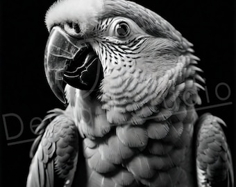 Artistic Parrot PNG / PNG Laser Engraving file for slate / Digital Design / Wildlife / Animal Life / Laser ready / Parrot for engraving