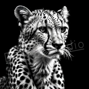 Artistic Cheetah PNG / PNG Laser Engraving file for slate / Digital Design / Wildlife / Animal Life / Laser ready / Cheetah for engraving