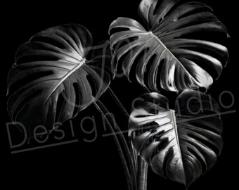Artistic 3 leaf Monstera PNG / PNG Laser Engraving file for slate / Digital Design / Cheese plant / Split-leaf Philodendron / Laser ready