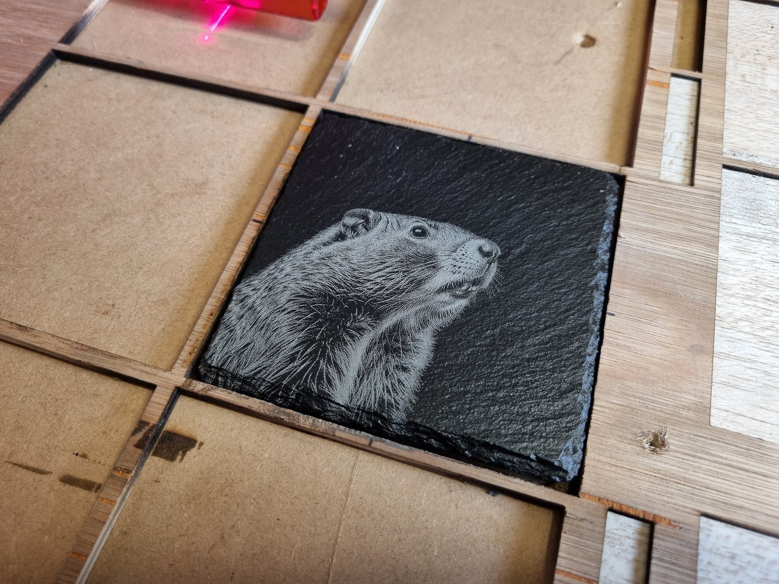 Artistic Groundhog PNG / PNG Laser Engraving File for Slate ...