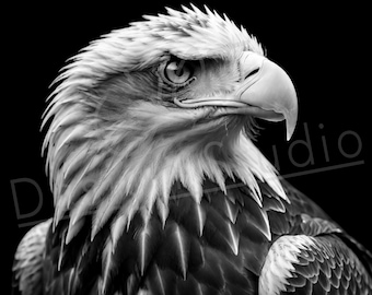 Artistic Eagle PNG / PNG Laser Engraving file for slate / Digital Design / Wildlife / Animal Life / Laser ready / Eagle for engraving