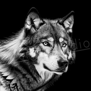 Artistic Wolf PNG / PNG Laser Engraving file for slate / Digital Design / Wildlife / Animal Life / Laser ready / Wolf engraving