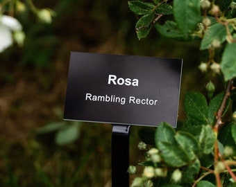 Plant Label with Stake, Personalised and Engraved