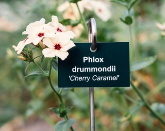 Hanging Plant Label with Stake, Personalised and Engraved