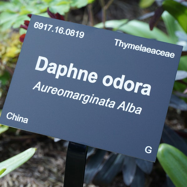 Metal Plant Labels Etsy UK