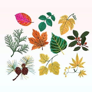 Puede incluir: Una colección de 10 hojas de otoño bordadas en varios colores, incluyendo verde, amarillo, naranja, rojo y marrón. Las hojas están dispuestas en un patrón aleatorio sobre un fondo blanco.