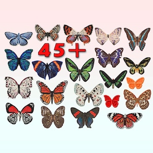 May include: A collection of colorful butterfly illustrations with the text "45+" in red.