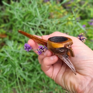 May include: A wooden smoking pipe carved in the shape of a bird's head. The pipe is brown and has a black bowl. The pipe is held in a hand against a background of green foliage.