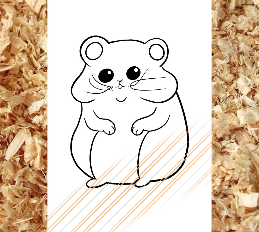 Hamster coloring Page for Kids Preschool - Etsy