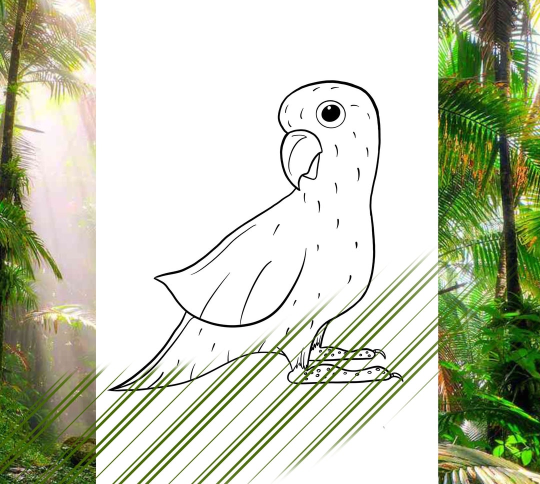 Parrot Coloring Pagecoloring Page for Kids preschool - Etsy