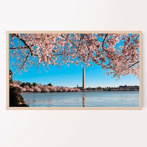 Samsung Frame TV Art, Cherry Blossoms, Washington DC, Instant Download, Spring, Floral, Frame TV Art, Samsung Art, Digital Download