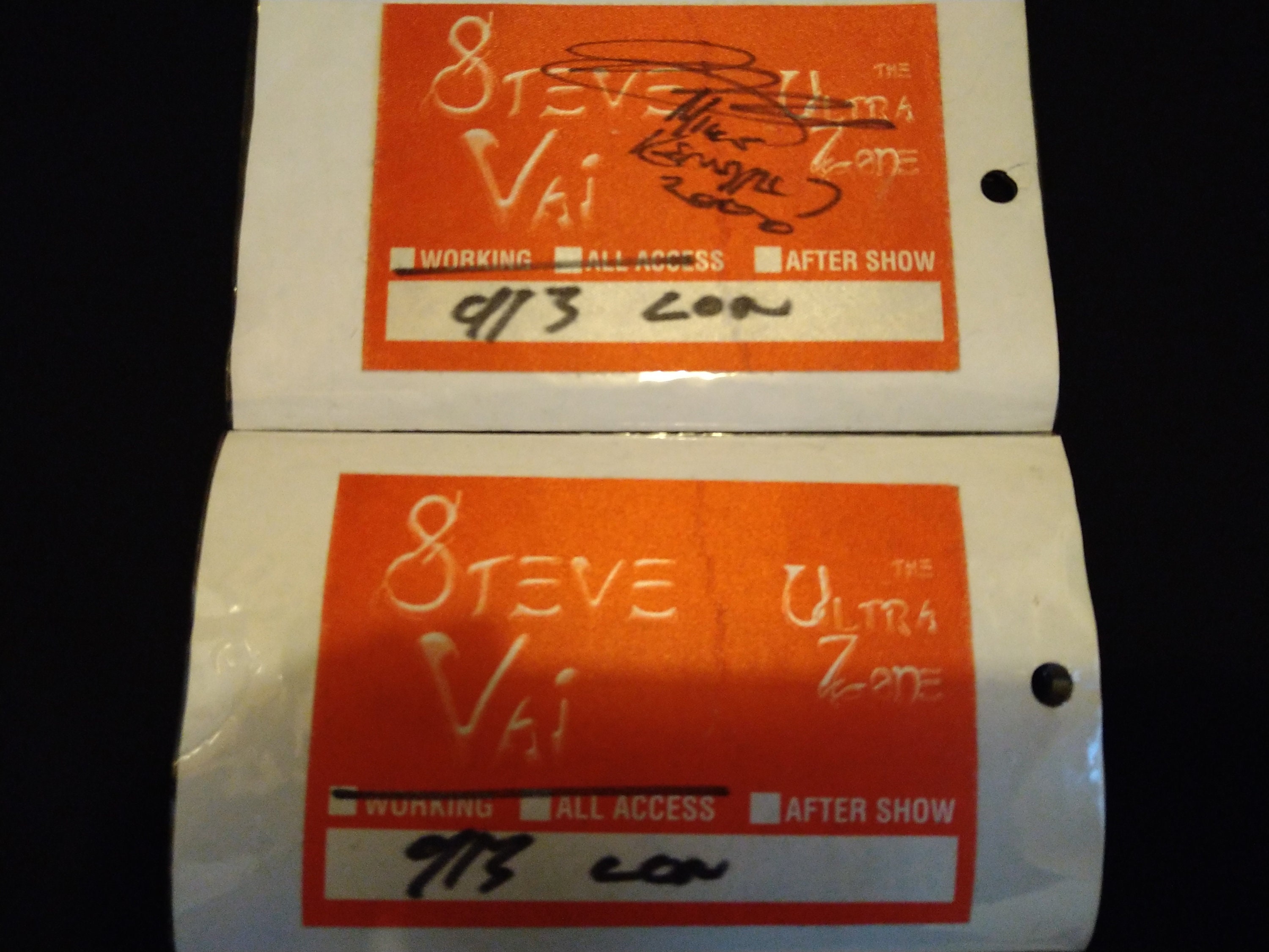 Steve vai - Etsy 日本