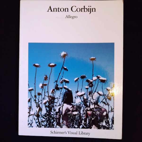 Vintage Collectable Anton Corbijn - Allegro Photo Book David Bowie Ian Curtis Nick Cave Sinead O'Connor Siouxsie Sioux