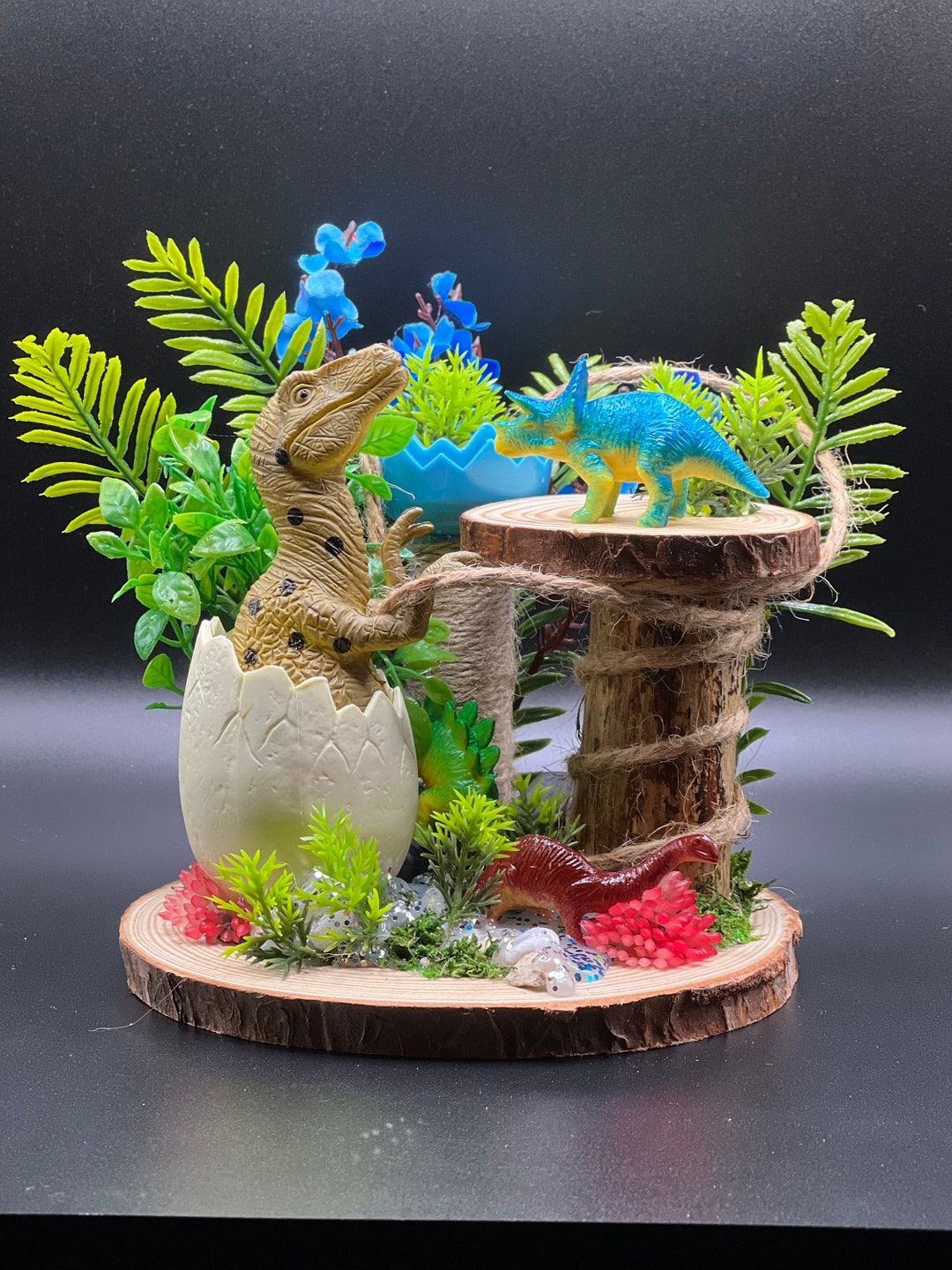 Jumping Spider Gym Jumping Spider Play Ground Dinosaur Themed Etsy